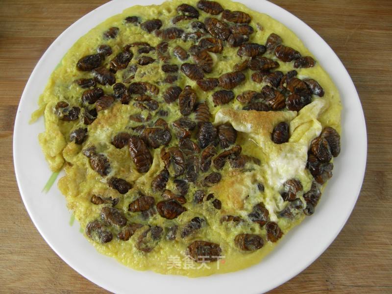 Silkworm Pupa Omelette recipe