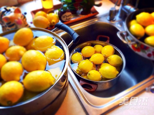 Homemade Lemon Enzyme recipe