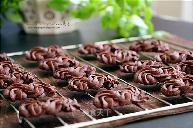 Viennese Cocoa Cookies recipe