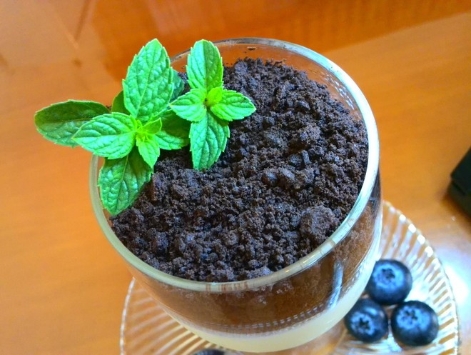 Small Fresh Yogurt Pot recipe