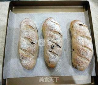 Whole Wheat Raisin Bread recipe