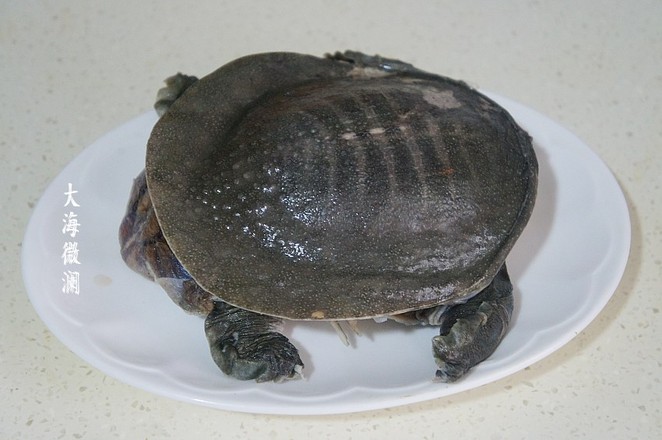 Winter Melon Turtle Soup recipe