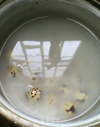 Boiled Quail Eggs recipe