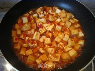 Spicy Braised Old Tofu recipe