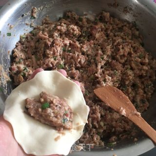 Oatmeal and Mushroom Pork Dumplings recipe