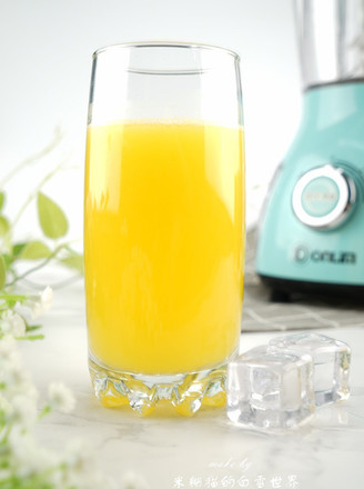 [summer Refreshing Juice] Orange Juice