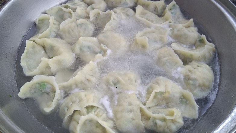 Green Vegetable Mushroom Dumplings recipe