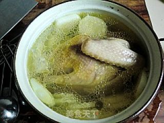 【anhui Cuisine】---huangshan Stewed Pigeon recipe