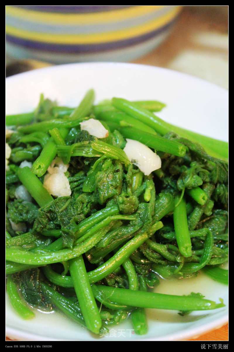 Stir-fried Pumpkin Seedlings with Garlic recipe