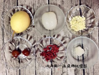 Stewed Sydney with Sea Coconut in Guangdong Autumn and Winter Refreshing Soup recipe