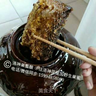 Self-brewed Roselle Honey Wine 30º recipe