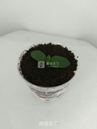 Oreo Sawdust Cup recipe