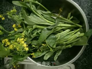Salad Greens recipe