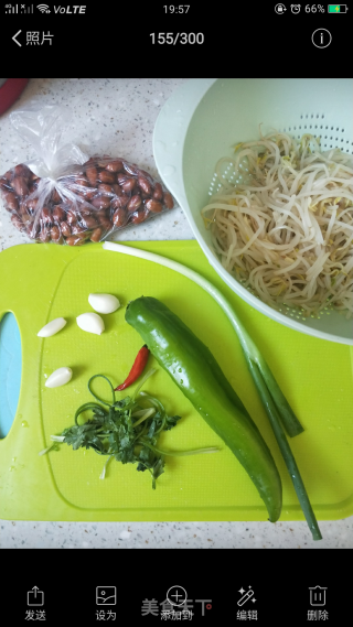 Mix Mung Bean Sprouts and Peanuts recipe