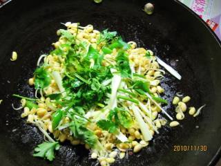 Spicy Bean Sprouts recipe