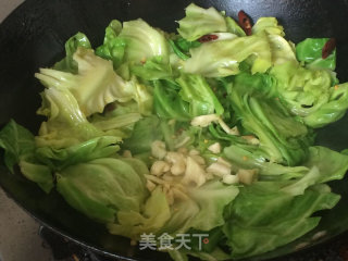 Shredded Cabbage recipe