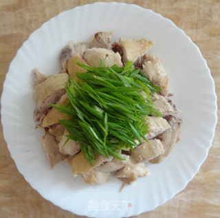 Scallion Chicken recipe