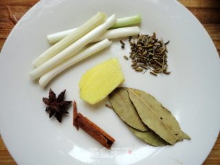 Brine Shrimp recipe