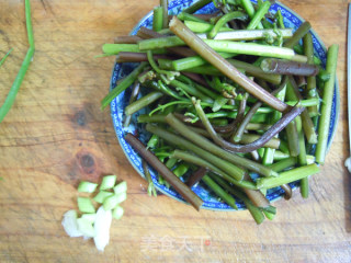 The Fragrance of Spring Wild Vegetables---stir-fried Bracken with Vinasse recipe