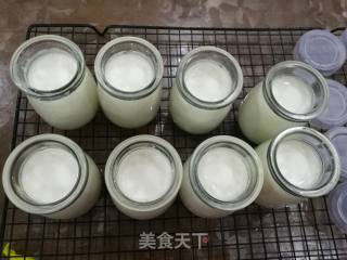 Homemade Yogurt recipe