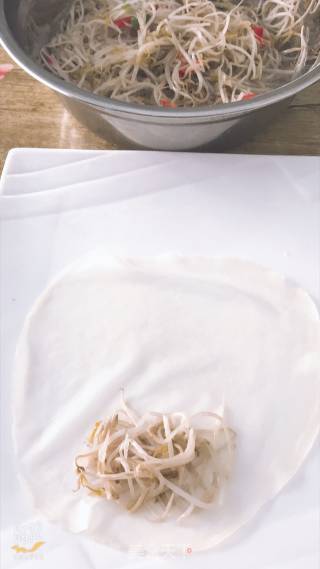 Bean Sprouts Spring Rolls recipe