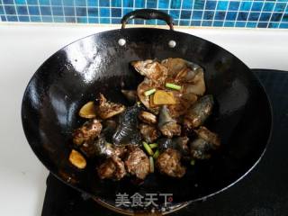 Braised Turtle recipe