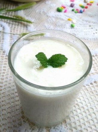 Plain Yogurt recipe