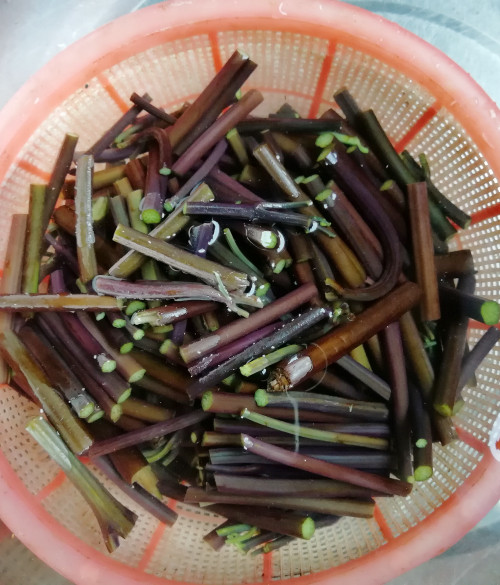 Stir-fried Bacon with Umami Bracken recipe