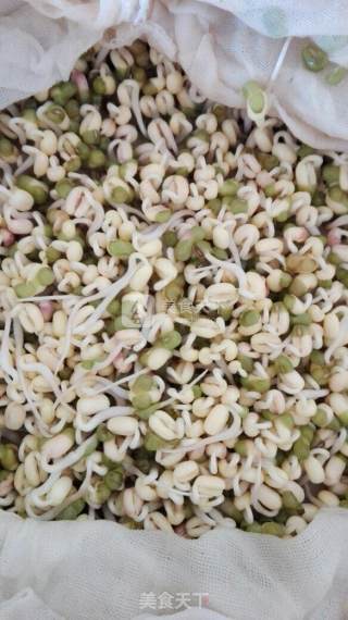 Spontaneous Mung Bean Sprouts recipe