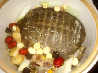 Stewed Turtle recipe