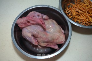 [beijing] Old Pigeon Cordyceps Soup recipe