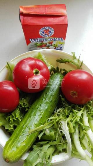 White Cheese Vegetable Salad recipe