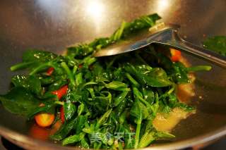 Stir-fried Andrographis recipe