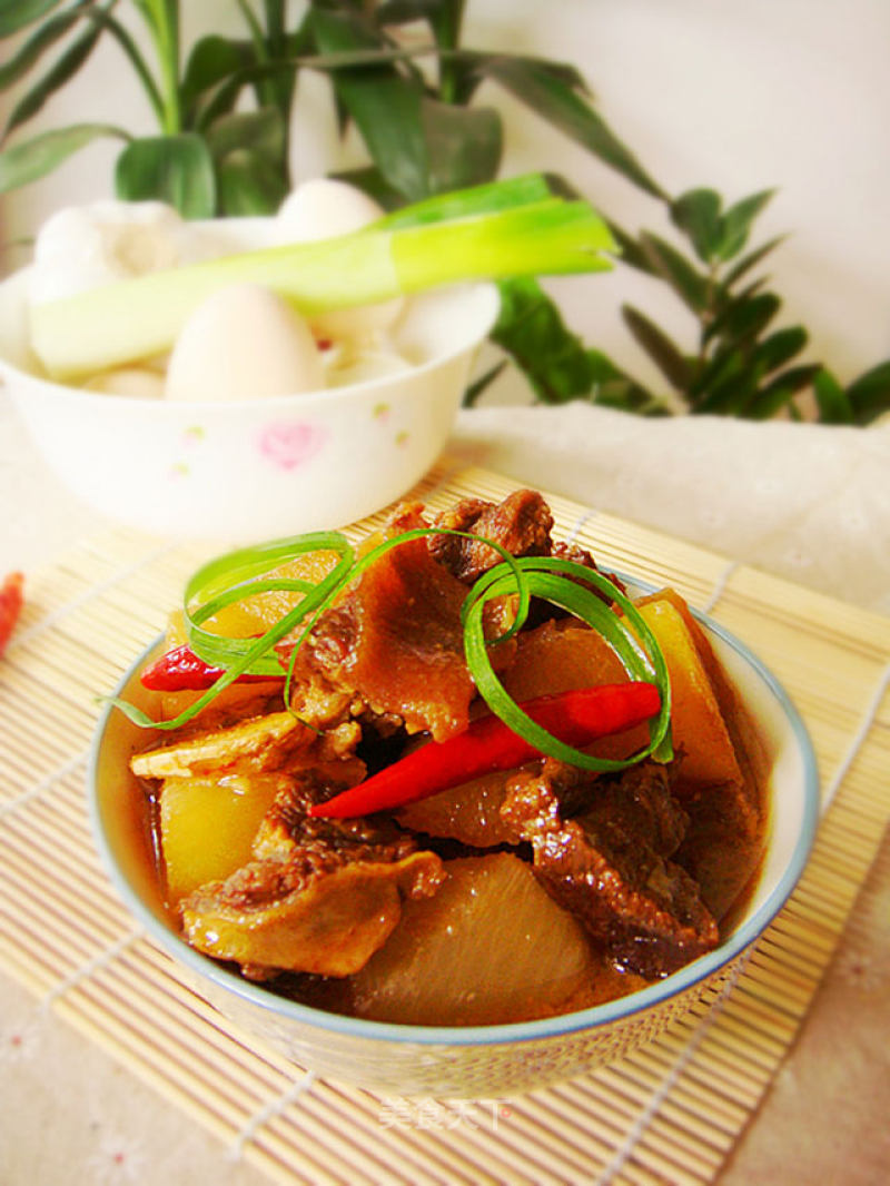 Stewed Beef Brisket with Radish recipe