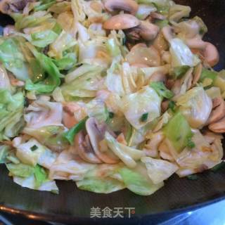 Mushroom Cabbage with Oyster Sauce recipe