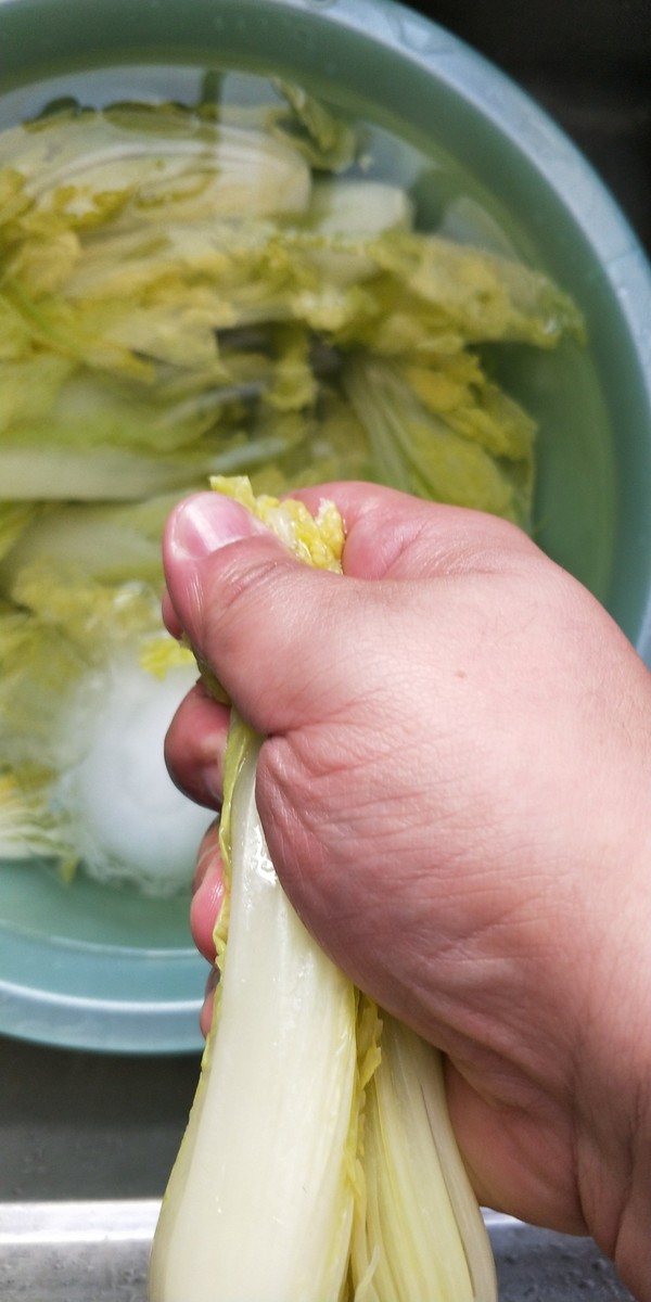 Boiled Cabbage recipe