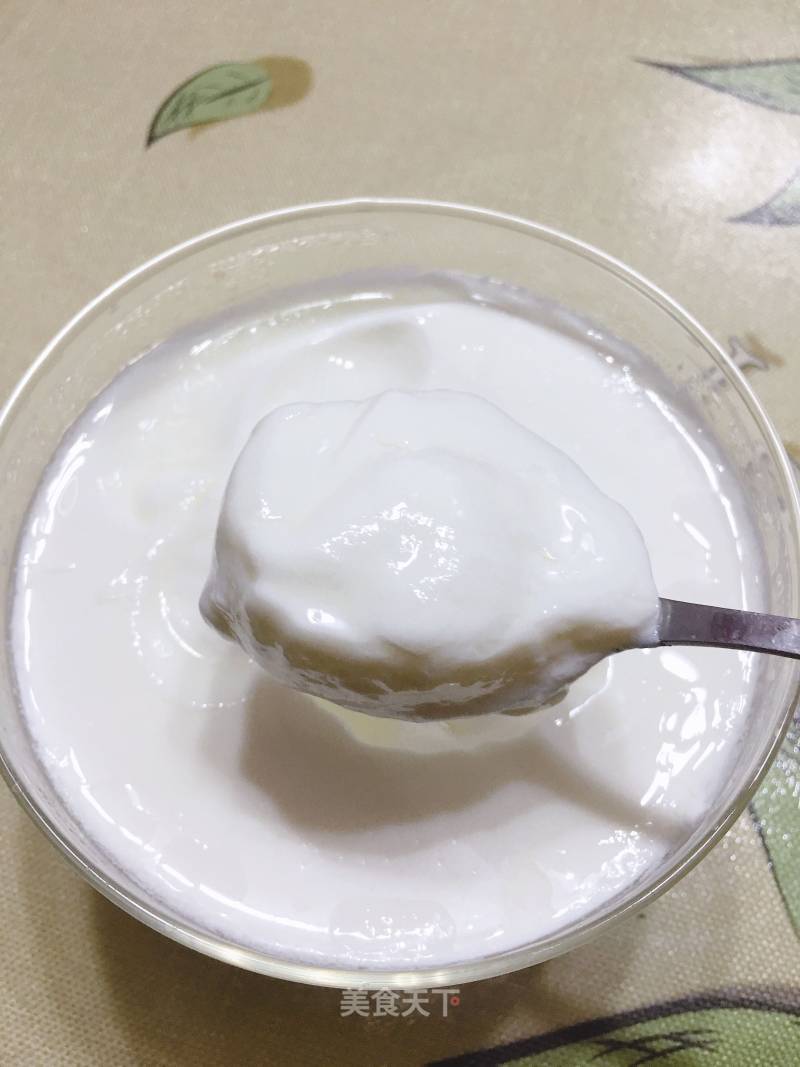 Homemade Yogurt recipe