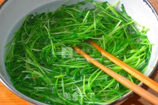 Cool Pea Sprouts recipe