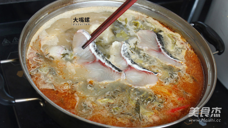 Special Snails and Spot Fish Pot丨large Mouth Snails recipe