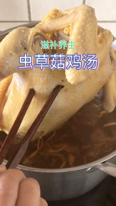 Cordyceps Mushroom Chicken Soup