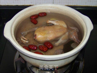 Ejiao Pigeon Soup recipe