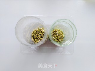 Mung Bean Sprouts recipe