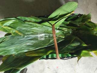 Fresh and Tangy Egg Yolk Meat Dumplings recipe