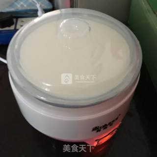 Plain Yogurt recipe