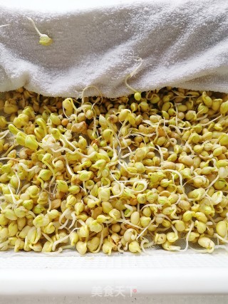 Homemade Soybean Sprouts recipe