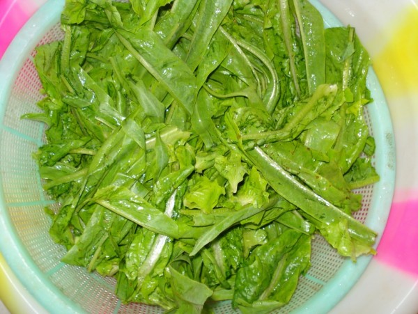 Stir-fried Lettuce Leaves recipe