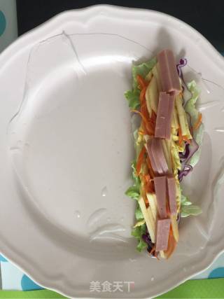 Vietnamese Spring Rolls recipe