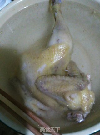 Saliva Chicken recipe