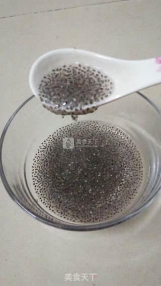 My Breakfast-soy Milk with Vegetarian Chia Seeds recipe