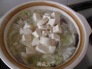 Chicken Shredded Cabbage Tofu Soup recipe